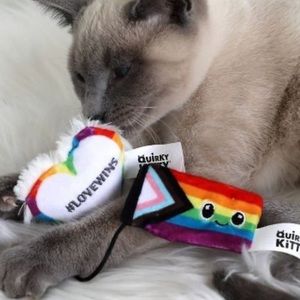 QUIRKY Kitty Love Wins + pride Flag Catnip cat toy lgbtq queer gay cat gift new